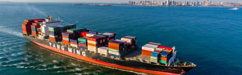  青岛国信水产内外开花，双杀山西汾酒队