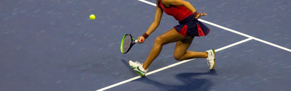  拉杜卡努美网童话续写新篇章